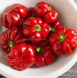 Перец Раунд Оф Хангари