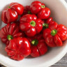 Перец Раунд Оф Хангари