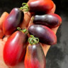 Томат Слива Мокко ( Серия Гном )