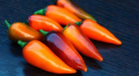 Перец острый Оранж Джес
