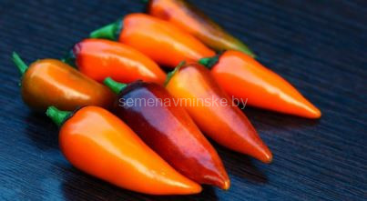 Перец острый Оранж Джес