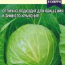 Капуста белокачанная Просто- Квашено