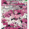 Иберис Шепот Лета