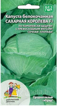 Капуста сахарная Королева F1