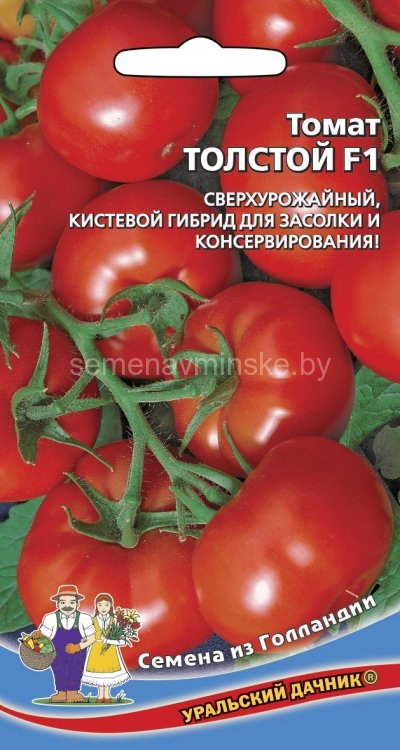 Томат Толстой F1