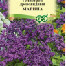 Гелиотроп Марина