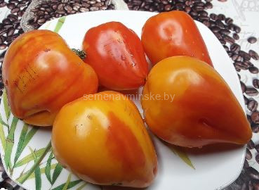 Томат Есыкский Кристалл