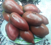 Томат Альмандин ( Серия Гном )
