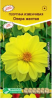 Георгин Опера желтая